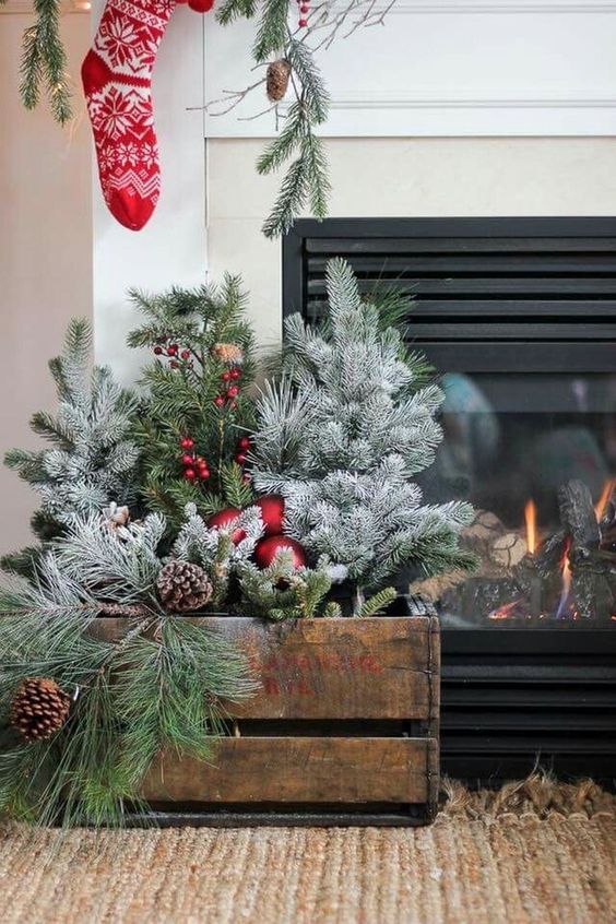 Holiday Decor Ideas
